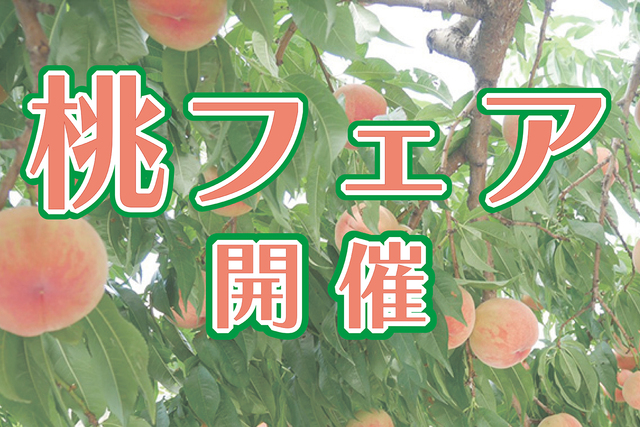 【7月ホームゲーム】フードパークにて「桃フェア」開催！