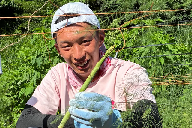 福島ユナイテッドFC農業部の夏のアスパラガス予約販売のお知らせ