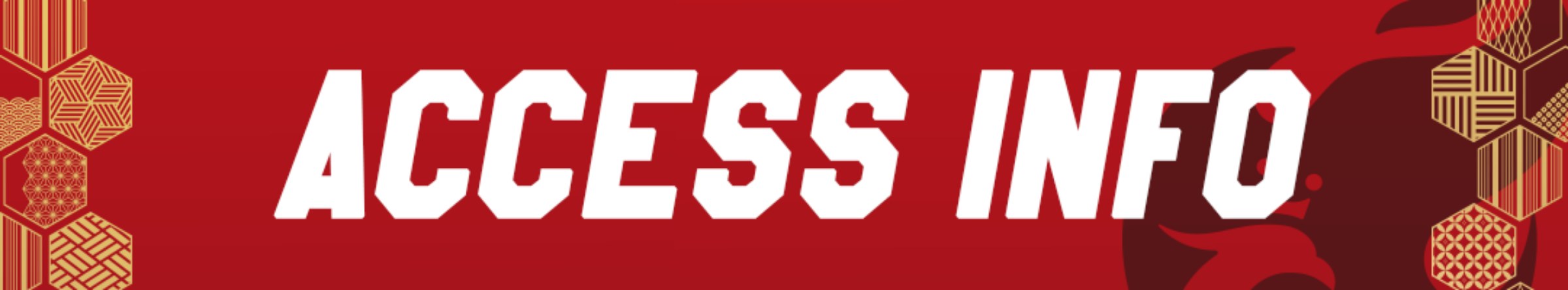 ACCESS INFO