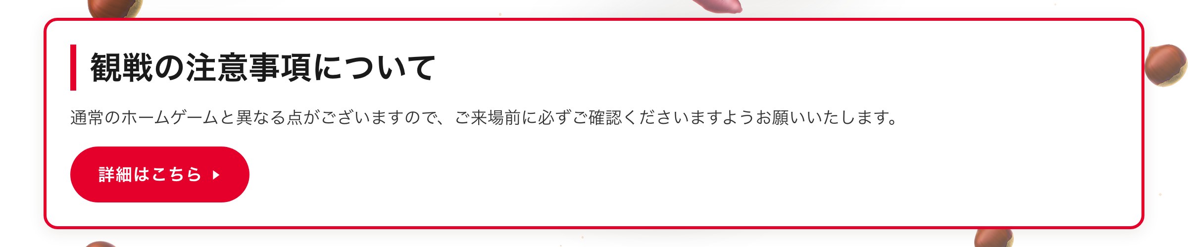 観戦の注意事項について