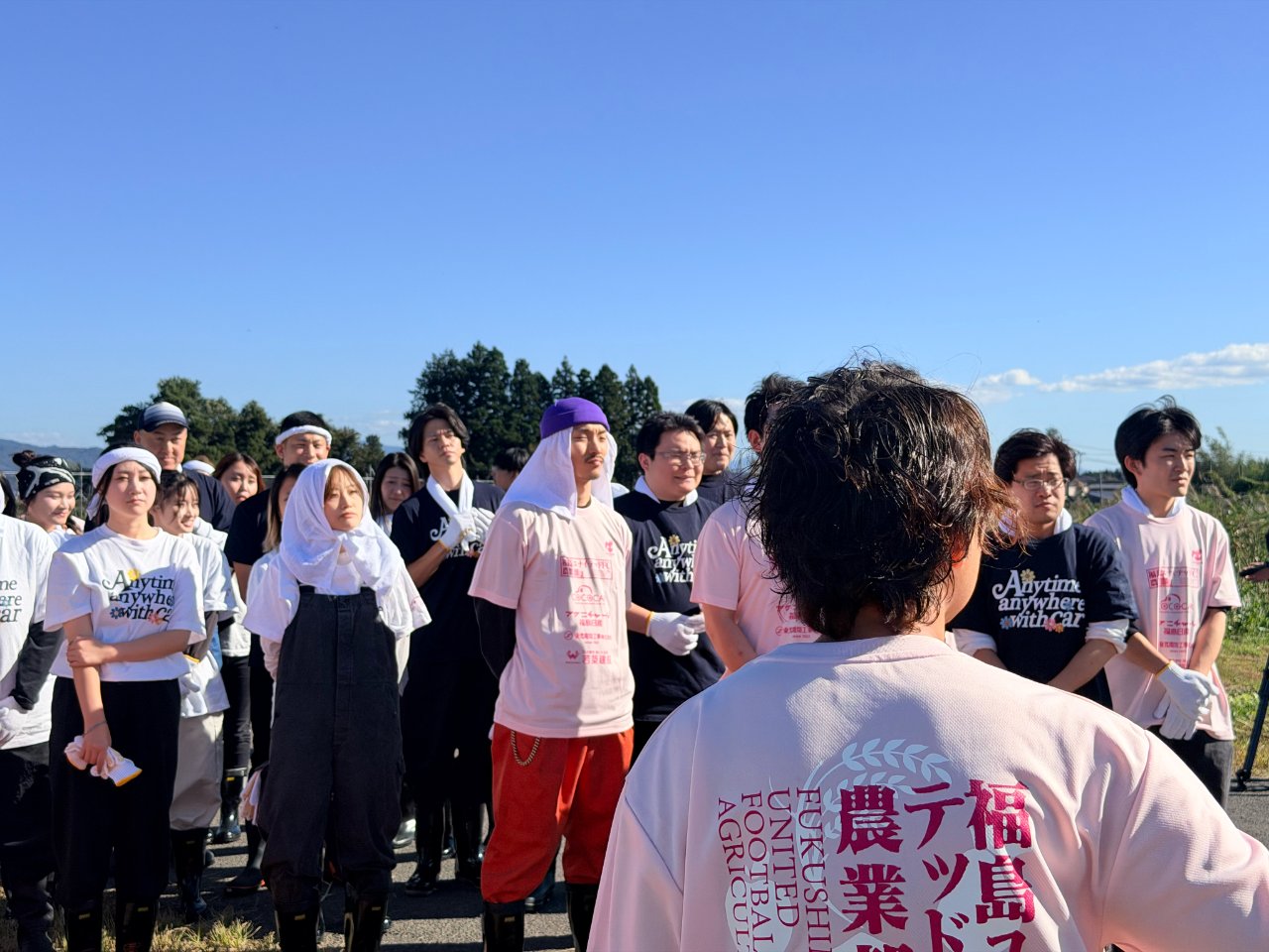 稲刈りの様子