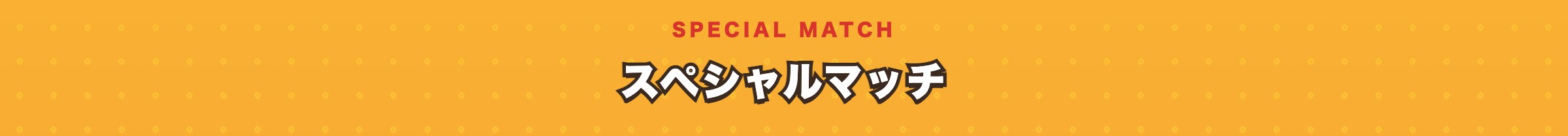 スペシャルマッチ